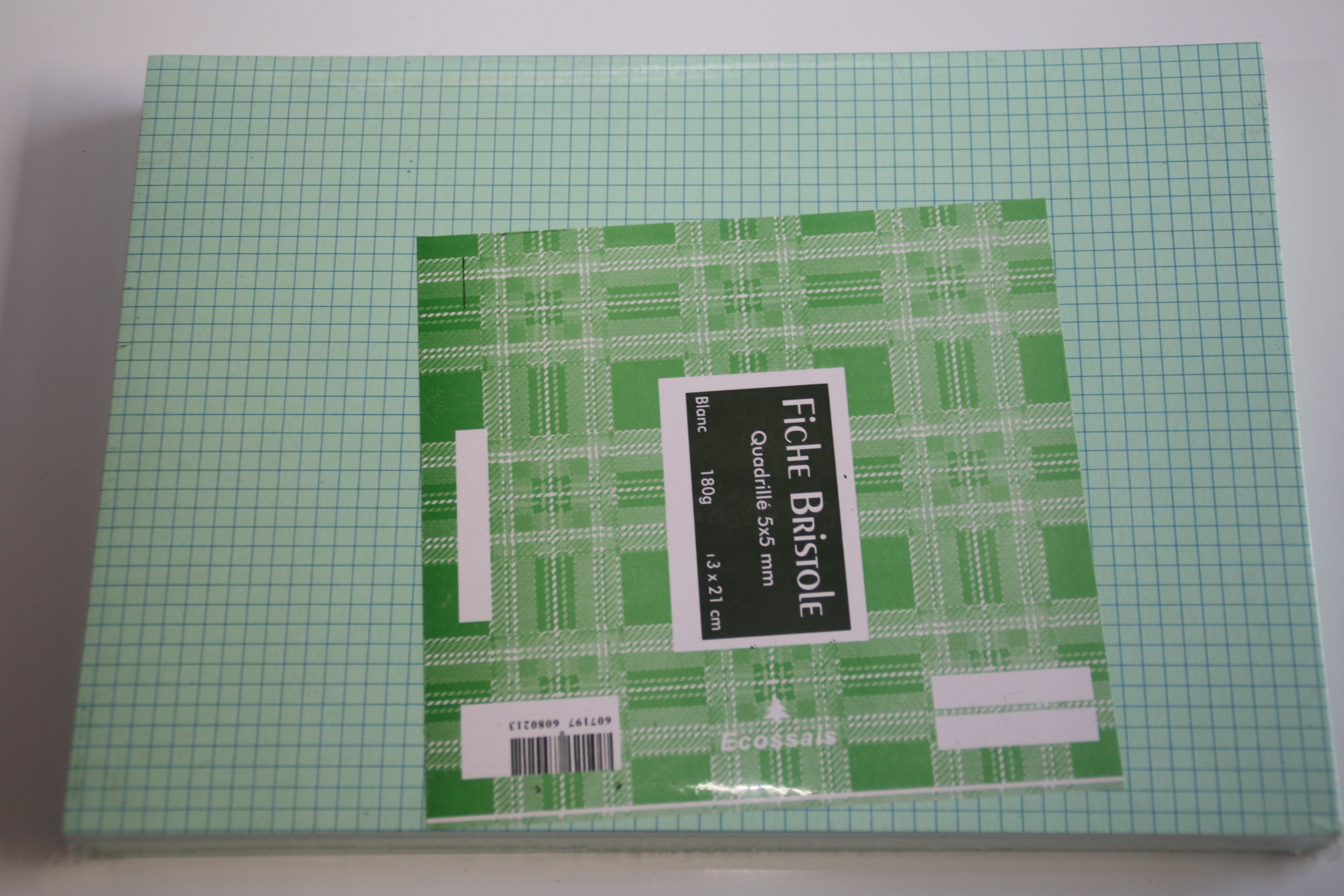 PAQUET DE FICHE BRISTOLE A4 COULEUR  DE 100