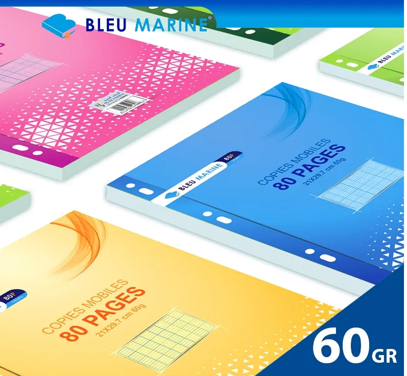 FEUILLE DOUBLE 17X22 COULEUR SEYES 80P BLEU MARINE/RTTE