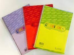 CAHIER 300 PAGE 70G HORIZON A/SPIRAL A4 530372 10*10 PLASTIQUE RIGIDE