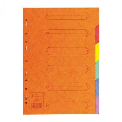 JEU DE 6 INTERCALAIRES A4 EN CARTE DE LION SICLA
