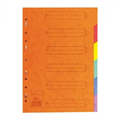 Jeu De 6 Intercalaires A4 En Carte De Lion Sicla