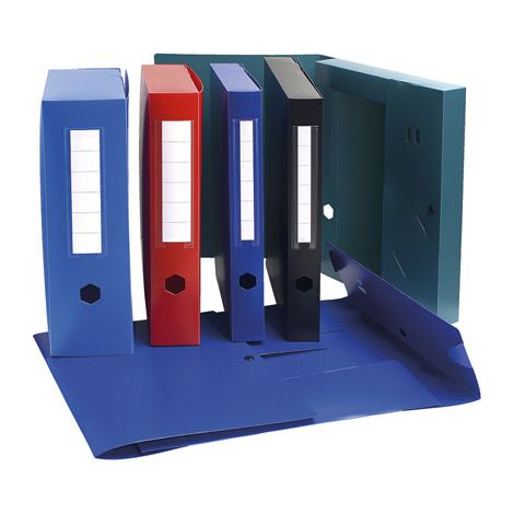 Boite Archive En Polypro 07/10 Ft:32,5x24,5 Dos:10 Cm