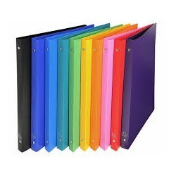CLASSEUR 2AX EN PLASTIQUE AVEC POCHETTE FT:33X28 DOS:10CM SICLA