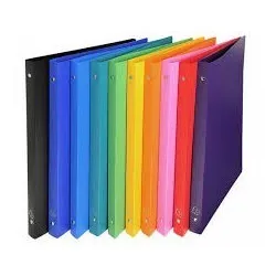 Classeur 2ax En Plastique Avec Pochette Ft:33x28 Dos:10cm Sicla