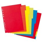 JEU DE 12 INTERCALAIRES EN PLASTIQUE SOUPLE ATLAS