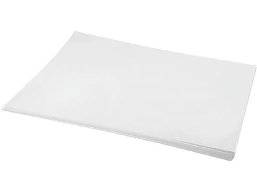 Papier Bristol 170 Grs Ft 64 X 90