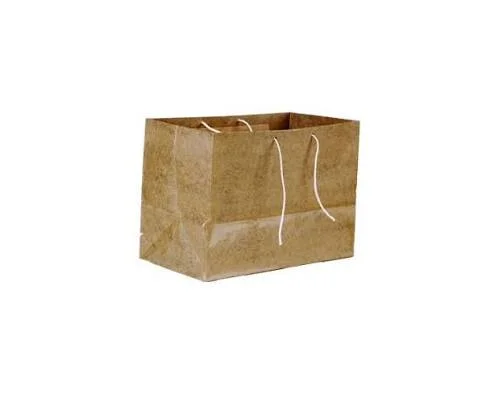 Sac Archive 35x25 Plastifiees