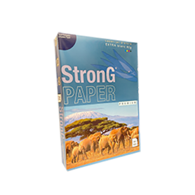 RAMETTE DE BLANC LASER A4 STRONG PREMIUM 80G (PQ DE 500)