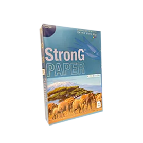 Ramette De Blanc Laser A4 Strong Premium 80g (pq De 500)