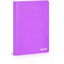 Cahier Pique 192 P 24x32 60g En Polypro 300 Mic 10x10 47695