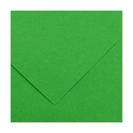 Feuille De Dessin Canson 150g 50x65 Vert Fonce
