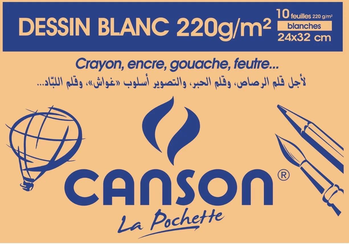 Cs50 Pochette De 10 Feuilles Dessin Blanc Canson 220grs 24x32cm 85135