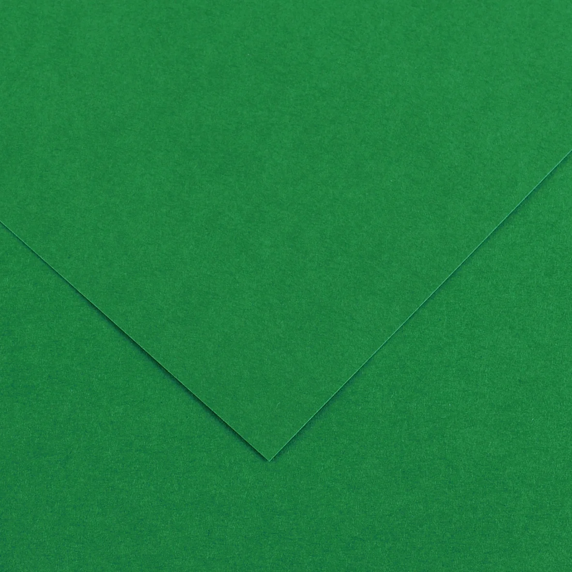 Cs151 Pqt 10 F-Dessin Colorline 50x65cm 150g Vert Mousse N°30 200041406